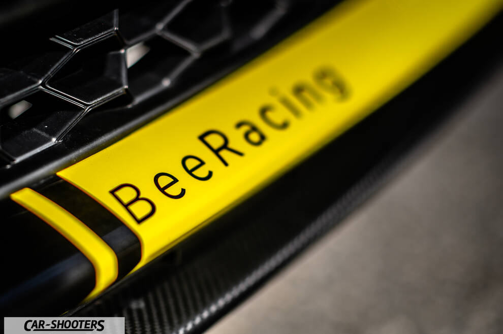 Suzuki Swift Sport – detail, grille detail with bee racing text