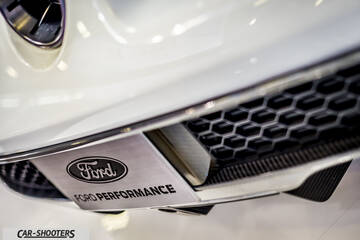 detail, front grille badge close-up