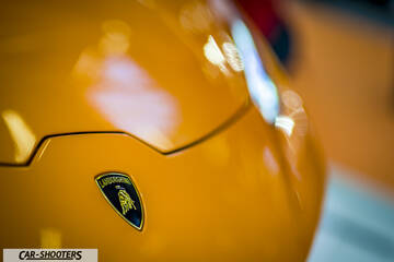 detail, badge close-up