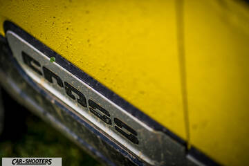 Fiat Panda 4X4 Cross – detail, emblem close-up