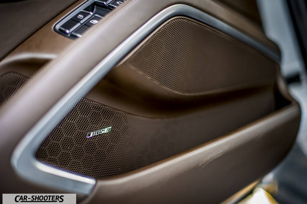 Porsche 911 Turbo S – interior, brown leather door panel