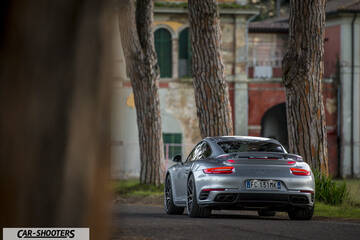 Porsche 911 Turbo S – rear three-quarter, silver parked near old trees