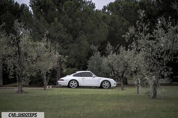 Porsche 993 Carrera 4 &ndash; side profile, white on grass surrounded by trees