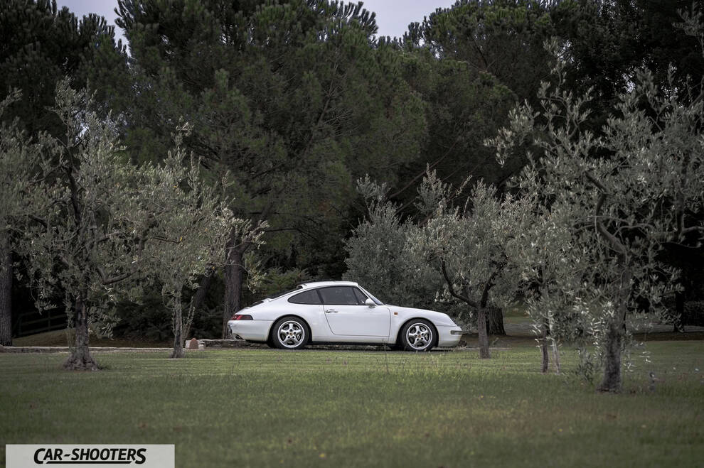 Porsche 993 Carrera 4 – side profile, white on grass surrounded by trees
