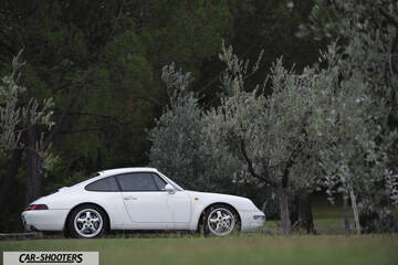 Porsche 993 Carrera 4 – side profile, white parked among trees