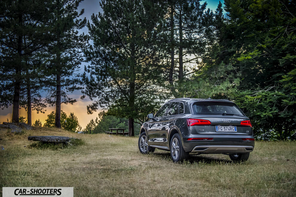 Audi Q5 – rear three-quarter, grey metallic on a grassy forest clearing