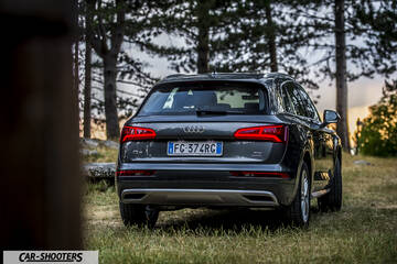 Audi Q5 – rear view, grey metallic on a grassy path among trees