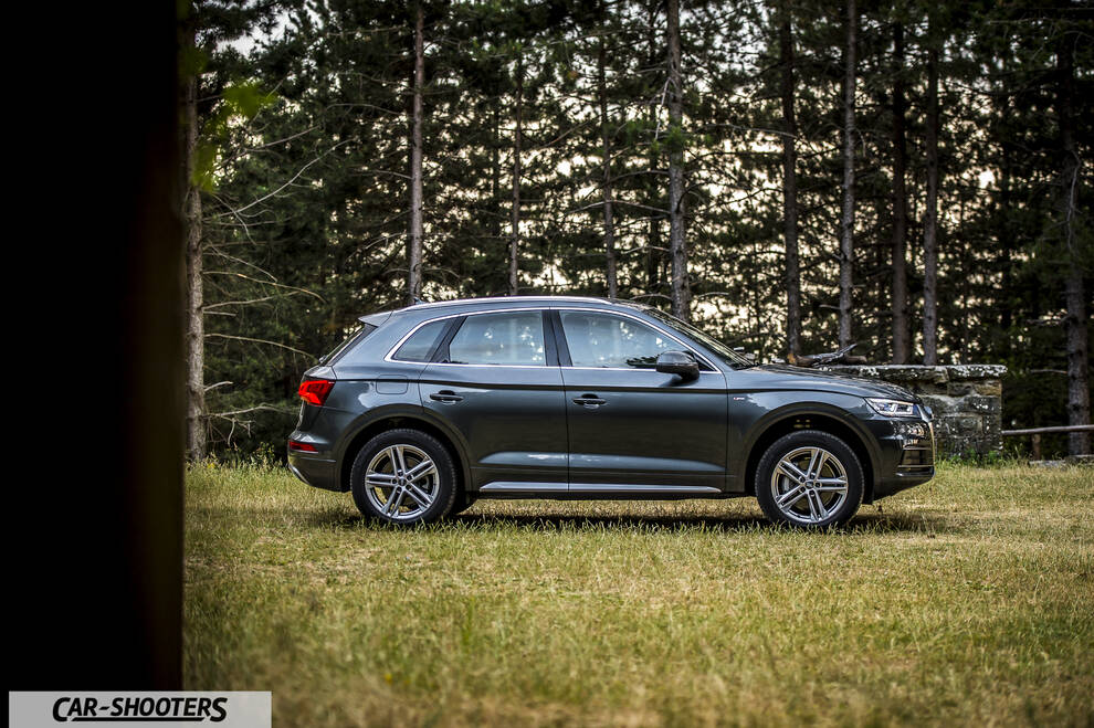 Audi Q5 – side profile, grey metallic against a wooded backdrop