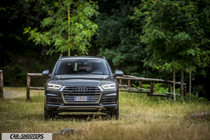 Audi Q5 – front three-quarter, grey metallic against a wooded background