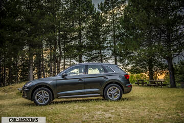 Audi Q5 – side profile, dark grey parked in a forest clearing