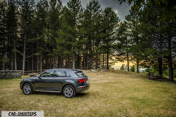 Audi Q5 – rear three-quarter, dark grey metallic parked in a forest clearing