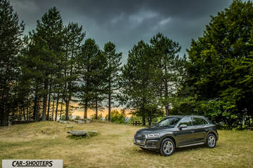 Audi Q5 – front three-quarter, grey metallic against a pine forest backdrop
