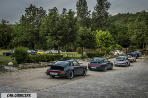 Porsche 911 e 912 – rear three-quarter, dark green against a tree backdrop