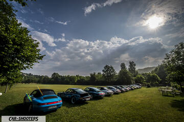 rear view, blue on a grassy field