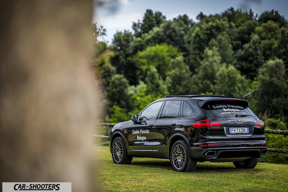 Porsche Cayenne Platinum Edition – rear three-quarter, black against a wooded backdrop
