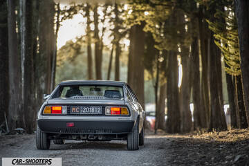 Lancia Beta Montecarlo – rear view, silver on a forest path