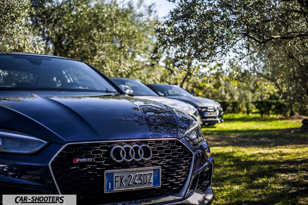 Audi – front three-quarter, dark blue parked among olive trees