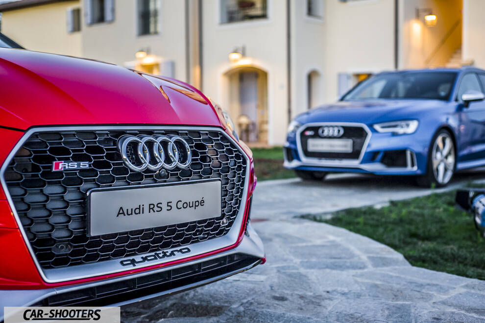 Audi – detail, grille close-up