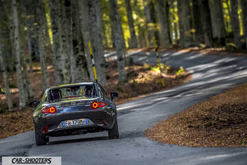 Mazda MX 5 ND – rear view, dark grey on a winding forest road