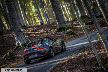 Mazda MX 5 ND – rear three-quarter, grey metallic on a forest road