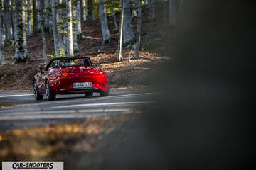 Mazda MX 5 ND – rear three-quarter, red on a winding forest road
