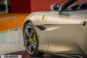 detail, alloy wheel and fender badge close-up