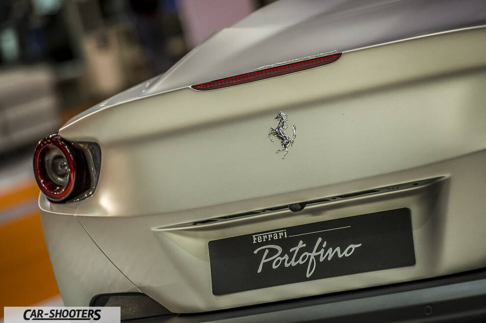 detail, rear badge close-up