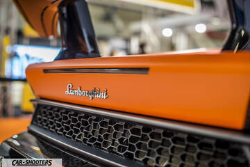 detail, rear badge close-up