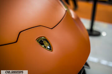 detail, hood badge close-up
