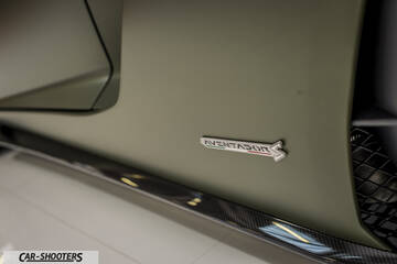 detail, side badge close-up