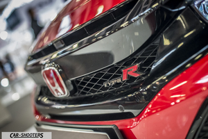 detail, front grille badge close-up