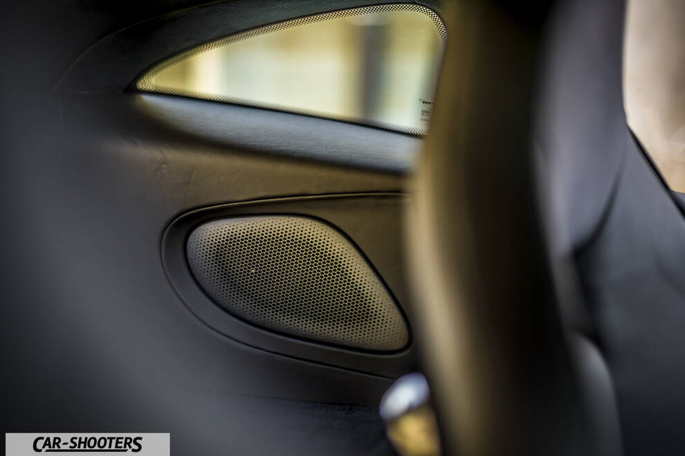 Mclaren 570S – interior, speaker grille on interior panel