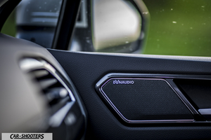 Volkswagen Tiguan – interior, dynaudio speaker grille on door