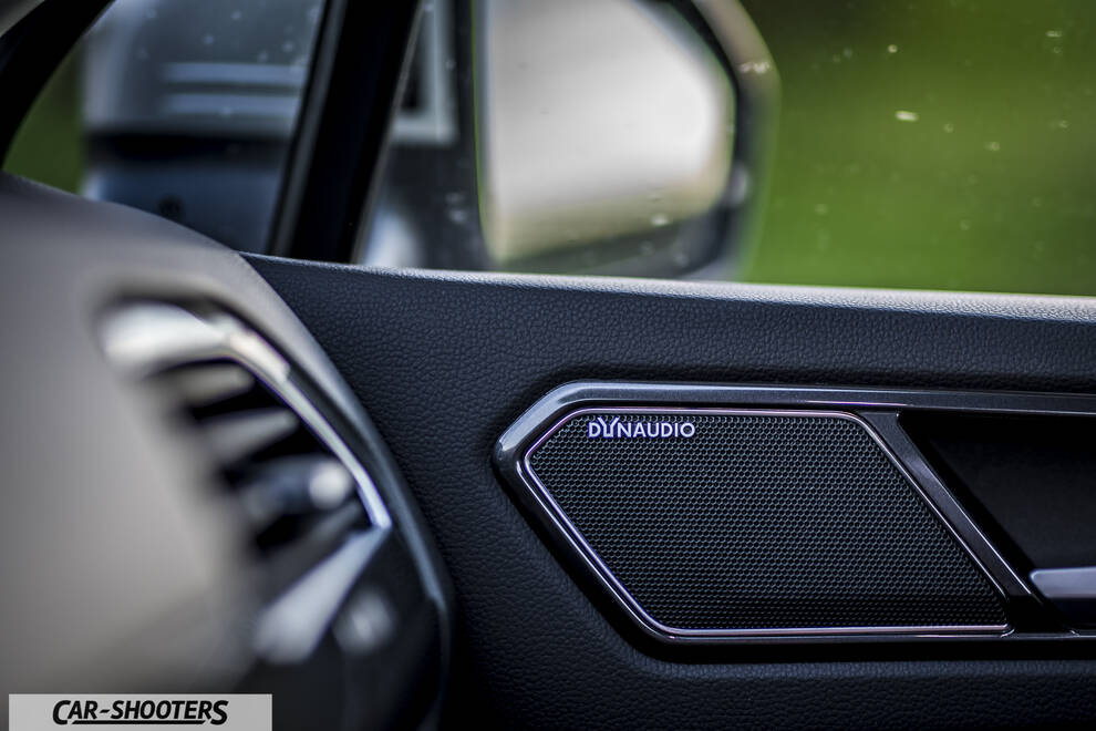 Volkswagen Tiguan – interior, dynaudio speaker grille on door