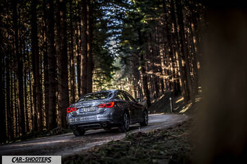 Infiniti Q50 – rear three-quarter, grey metallic on a forest road