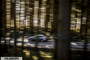 Infiniti Q50 – rear three-quarter, grey metallic driving through a forest