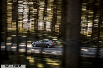 Infiniti Q50 – rear three-quarter, grey metallic driving through a forest