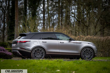 side profile, silver in a park with trees