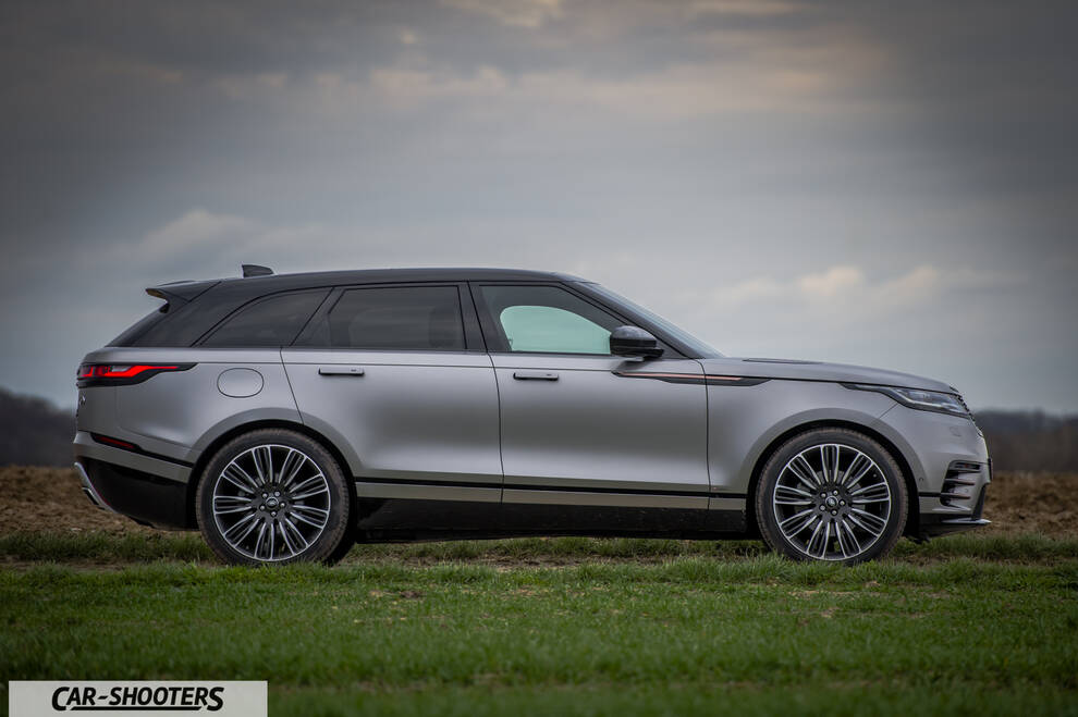 side profile, silver on a grassy field