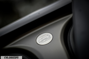 detail, interior badge close-up