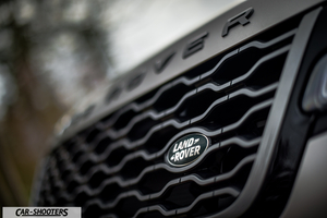 detail, front grille badge close-up