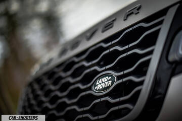 detail, front grille badge close-up