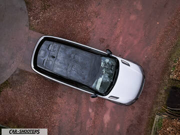 detail, viewed from above on reddish ground