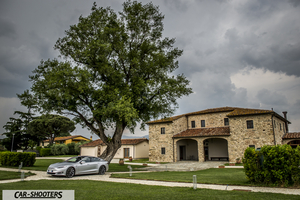 Tesla Model S – front three-quarter, silver parked near a large tree