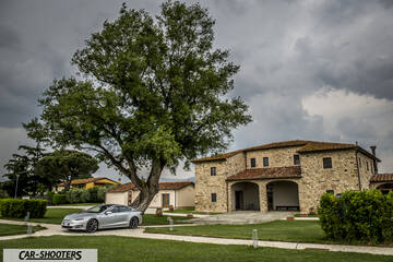 Tesla Model S – front three-quarter, silver parked near a large tree