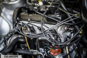 engine bay, spark plug wires and distributor