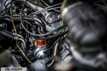 engine bay, spark plug wires and distributor