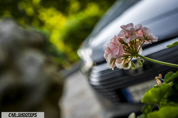 Hyundai Ioniq – detail, pink flowers in the foreground