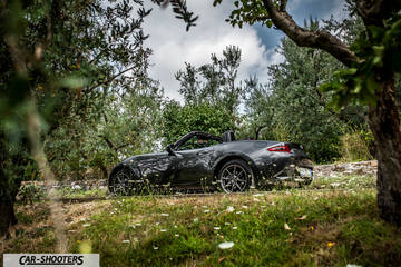 Mazda MX 5 Cherry Edition – side profile, dark grey framed by trees in a garden