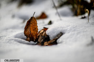 Suzuki Swift Sport – detail, leaves in the snow